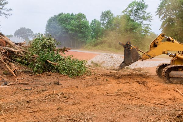 Ground Clearing in Marietta