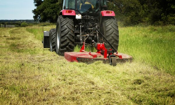 Brush Clearing Service in Marietta