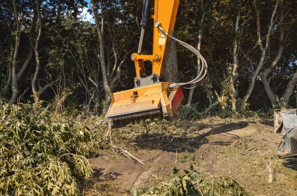 Brush Removal Service in Marietta