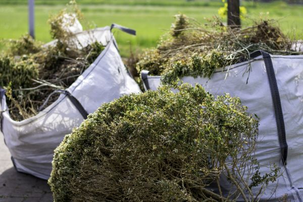 Bushes Clearing in Marietta